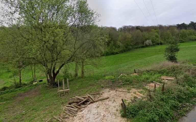 38820 12d63394f250 768x480