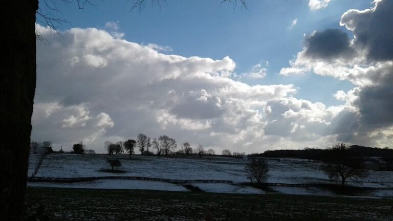 38840 52b1c552cc5d 768x432