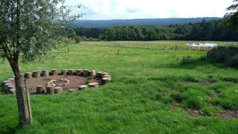 38898 37c3c4c93b57 768x432