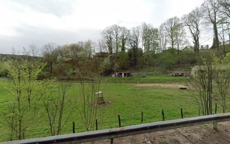 38906 3e7006cfe4fd 768x480