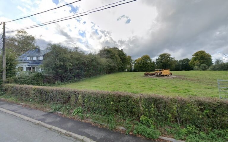 38942 53d69244c134 768x480