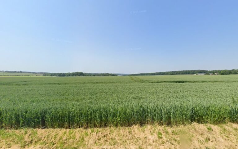 39339 06ef8c143ffa 768x480