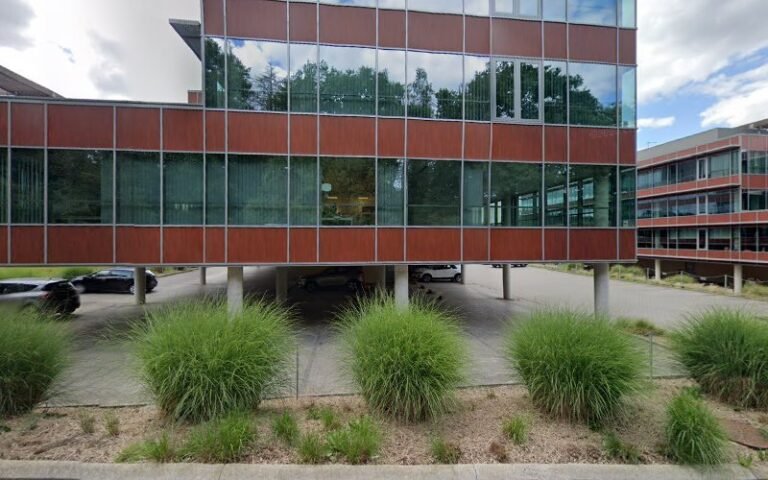 39367 bbda7780f2d2 768x480