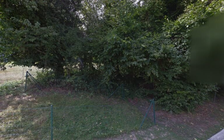 39373 4b8c7f4302b1 768x480