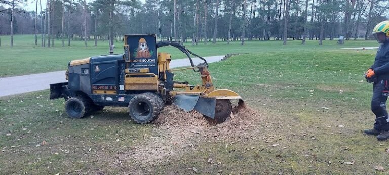 39563 36410931feab 768x346