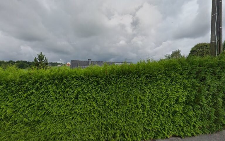 39700 3a8ec186a197 768x480