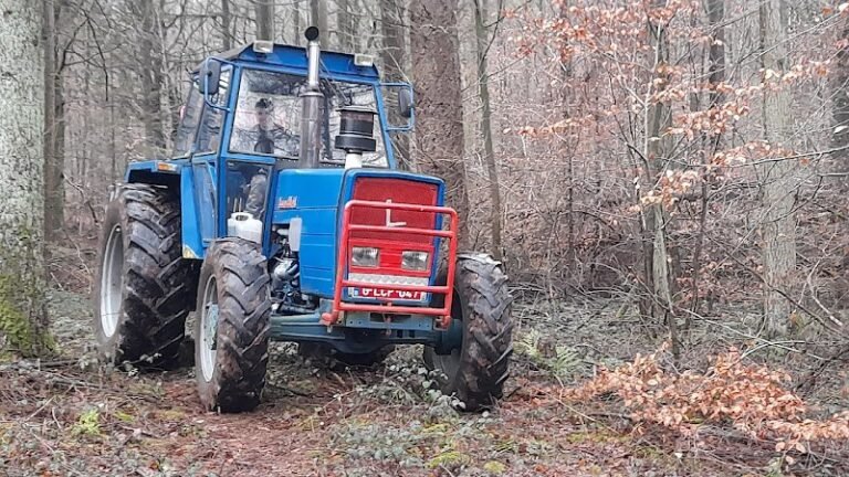 39702 0f213b1907a8 768x432