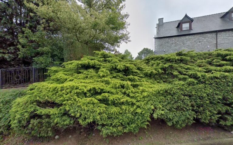 39820 0e672aca6f43 768x480