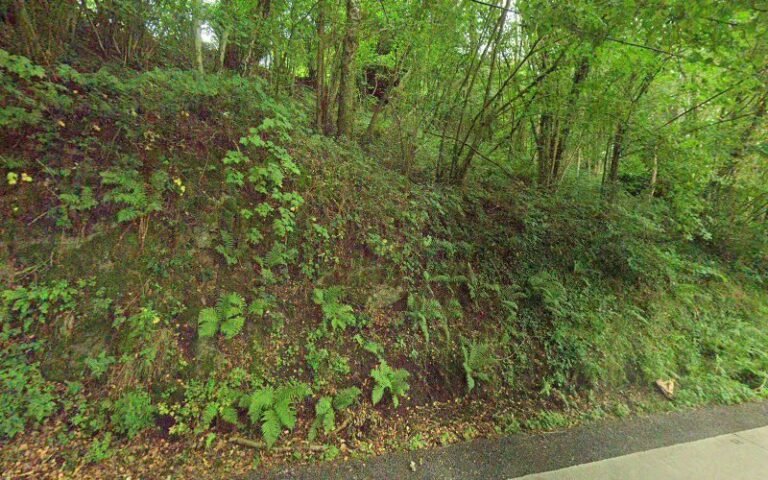 39838 556130f598fa 768x480