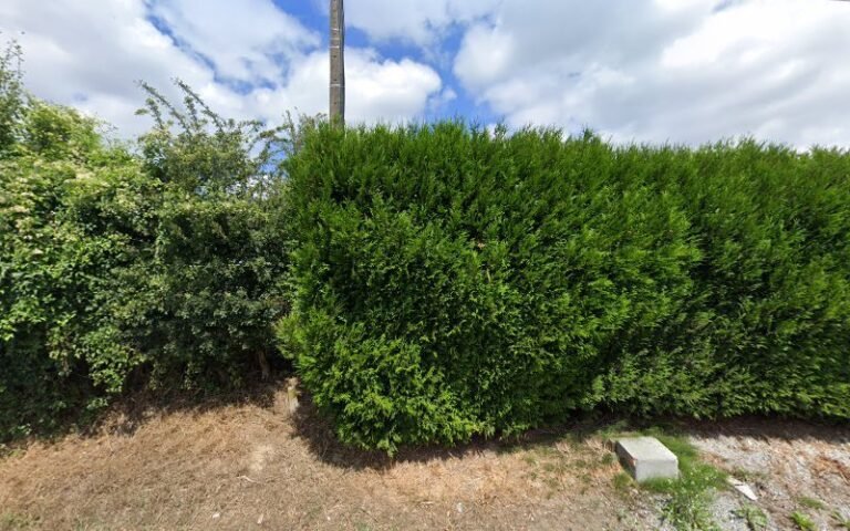 40083 f4f48a5c798a 768x480