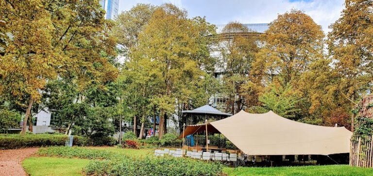 40351 655865a03c02 768x363