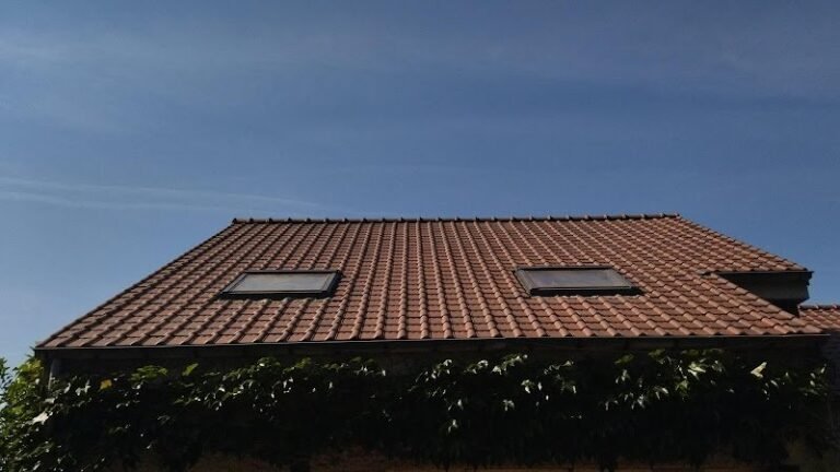 40357 a5b1a281681c 768x432