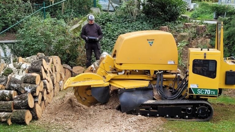 40994 47bfc7800b55 768x432