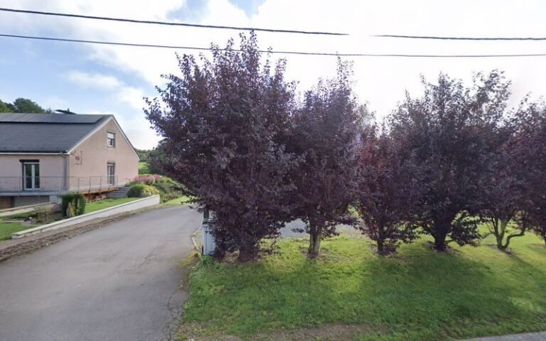 41007 6a50533b8067 768x480