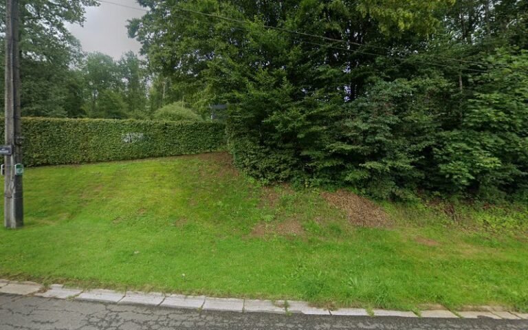 41049 d16811f2b8cc 768x480