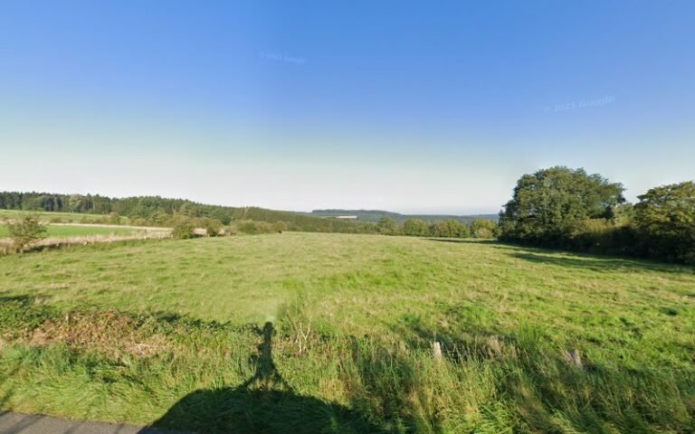 41288 6e889132dec5 768x480