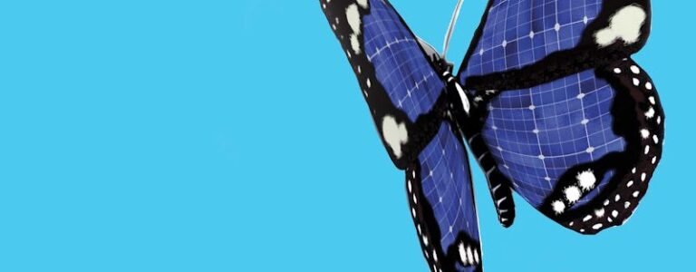 41322 652996634bf2 768x300