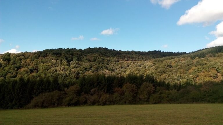 41328 98f851a8c33a 768x432