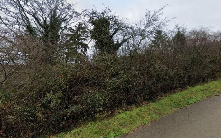 41362 e62f5050ed62 768x480