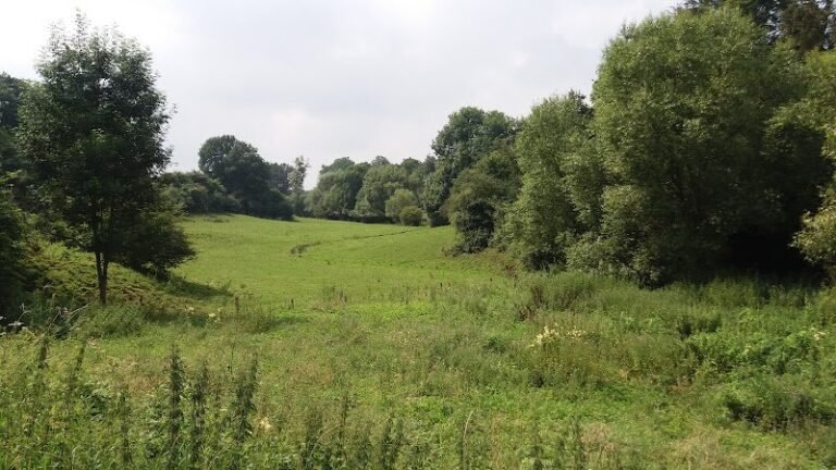 41376 e7447f5b7e61 768x432