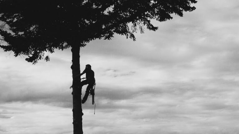 41572 02341ce2bfe7 768x431