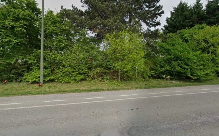 42408 e5056bb9e977 768x480